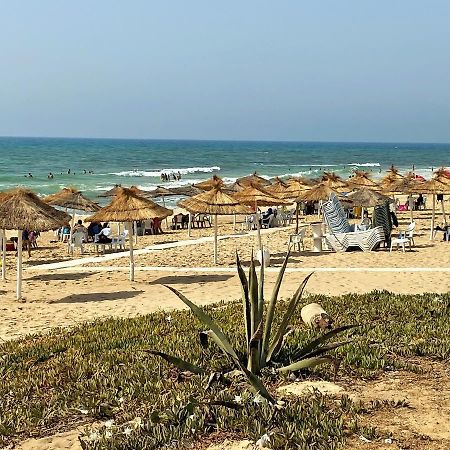 Roof Top Pied Dans L'Eau Panoramic View, 80 Meters From Seaside Appartement Hammamet Buitenkant foto