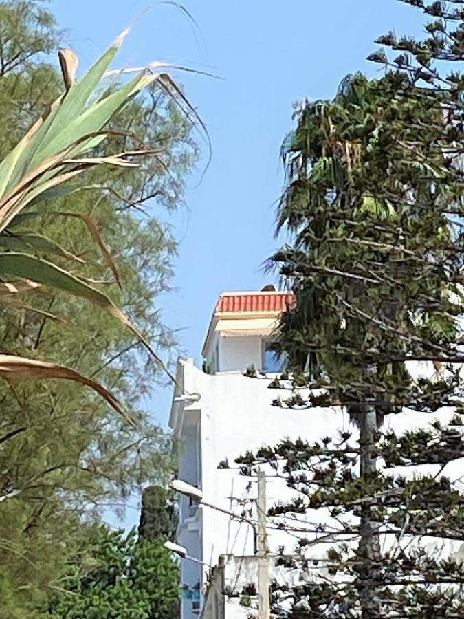 Roof Top Pied Dans L'Eau Panoramic View, 80 Meters From Seaside Appartement Hammamet Buitenkant foto